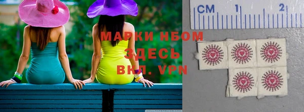 индика Карпинск