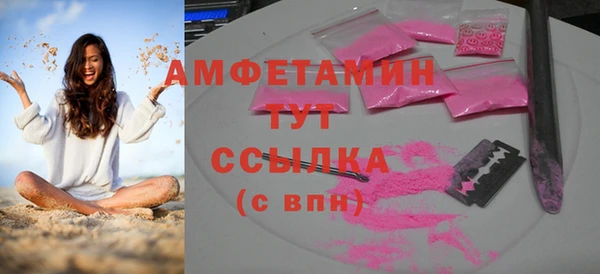 индика Карпинск