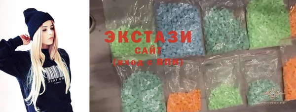индика Карпинск