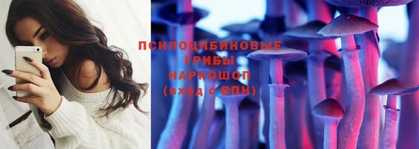 MDMA Каменка