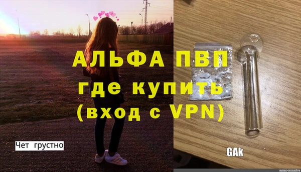 стафф Каменногорск