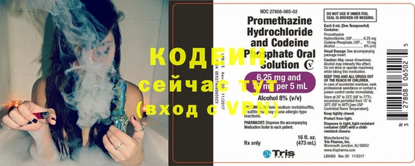 стафф Каменногорск