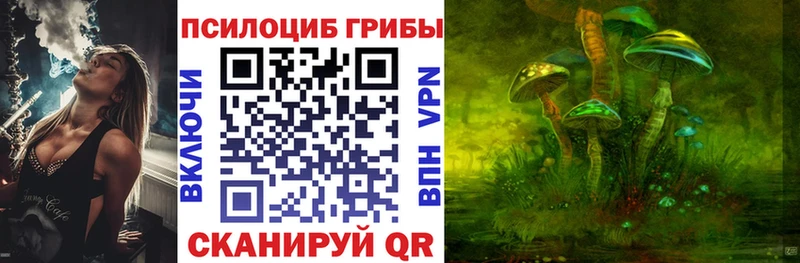Псилоцибиновые грибы мицелий  mega сайт  Тольятти  наркотики 